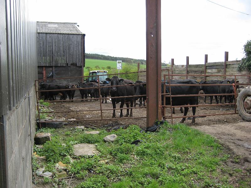 Charlie Spinks 40th 022.jpg